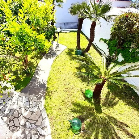 Cristy Garden *
